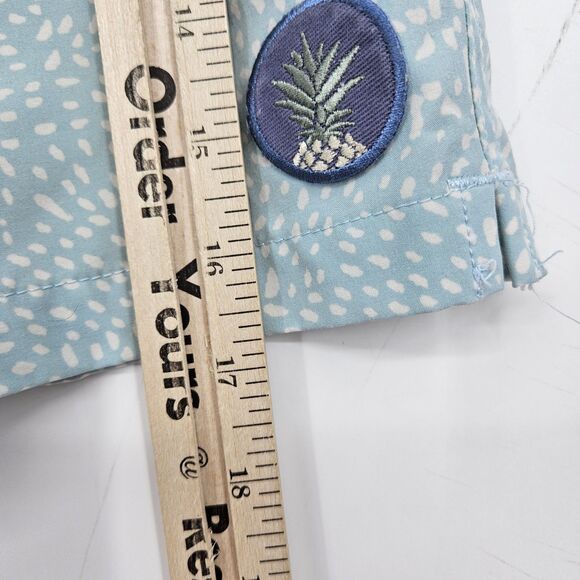 Chubbies Swim Trunks Mens 2XL Shorts Lined Beach Summer Striped‎ - Picture 5 of 11